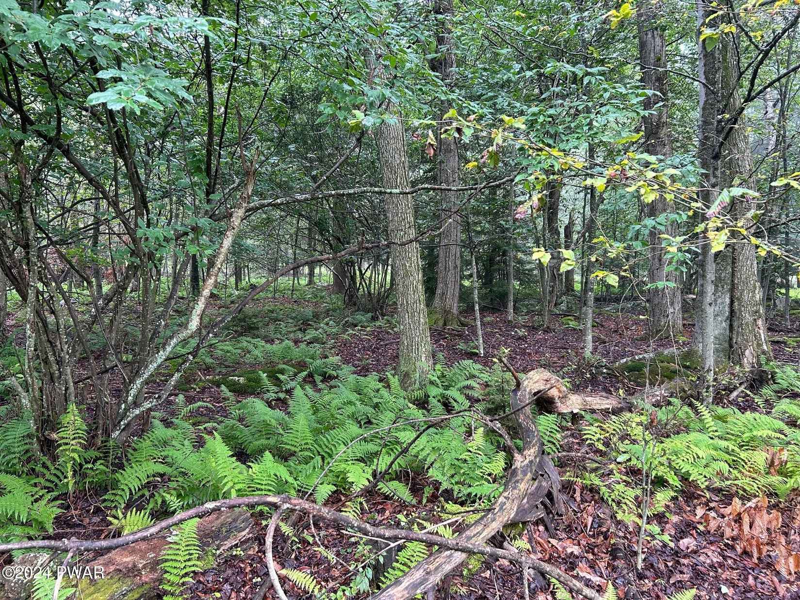 Lot 46 Emerald Ave  