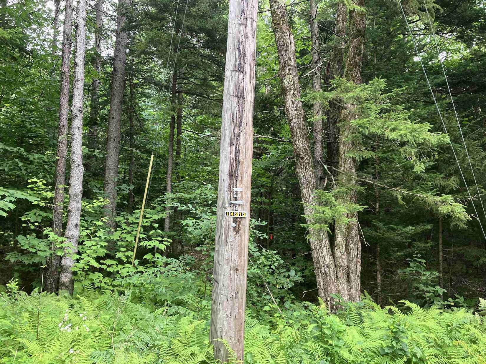 Lot 118 High Top Rd  