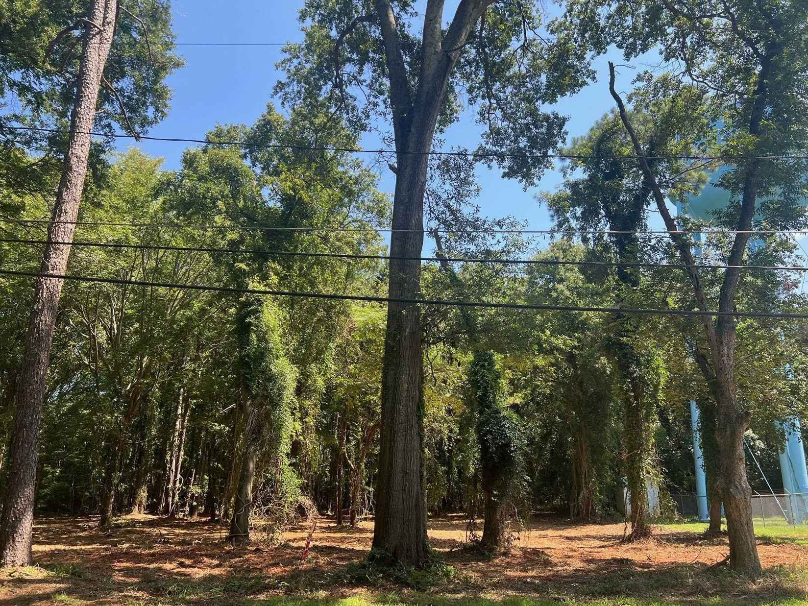TRACT 2B COLLEGE Dr  