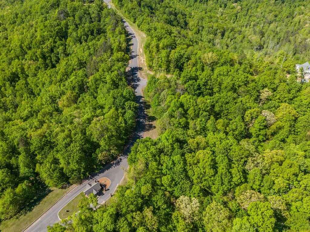 1133 Eagle Roost Ct  