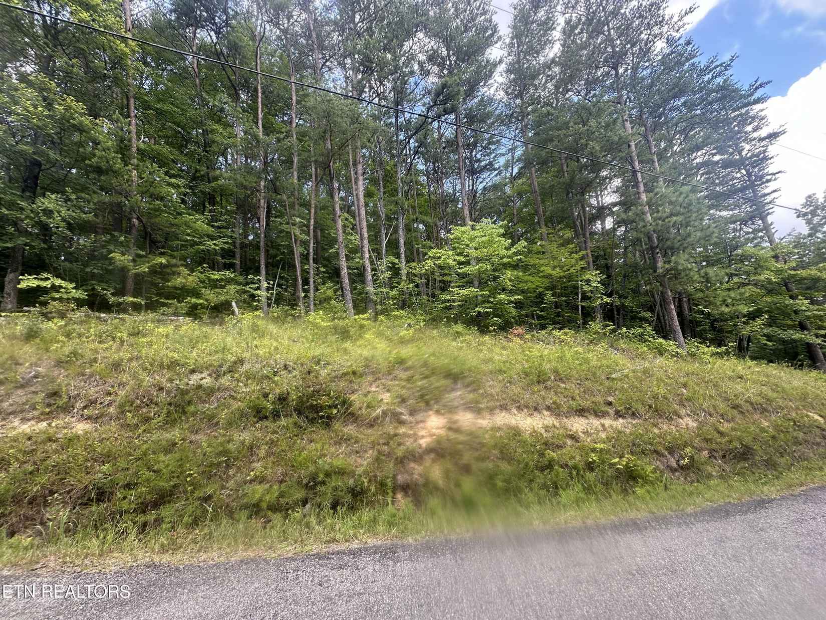 000 Cane Creek Mtn Rd  