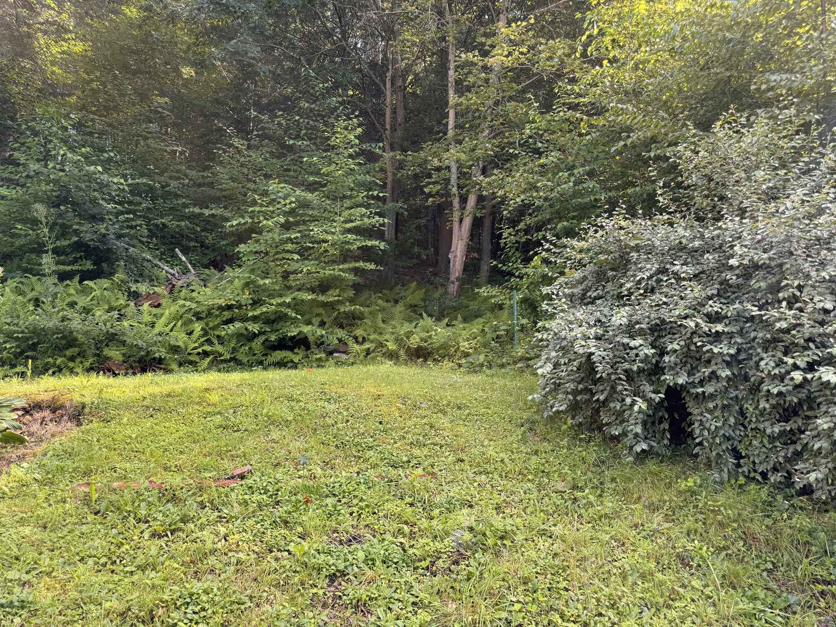 89 Pine Hl Rd  