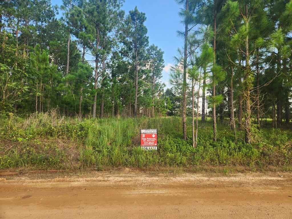 719 Adams Rd  