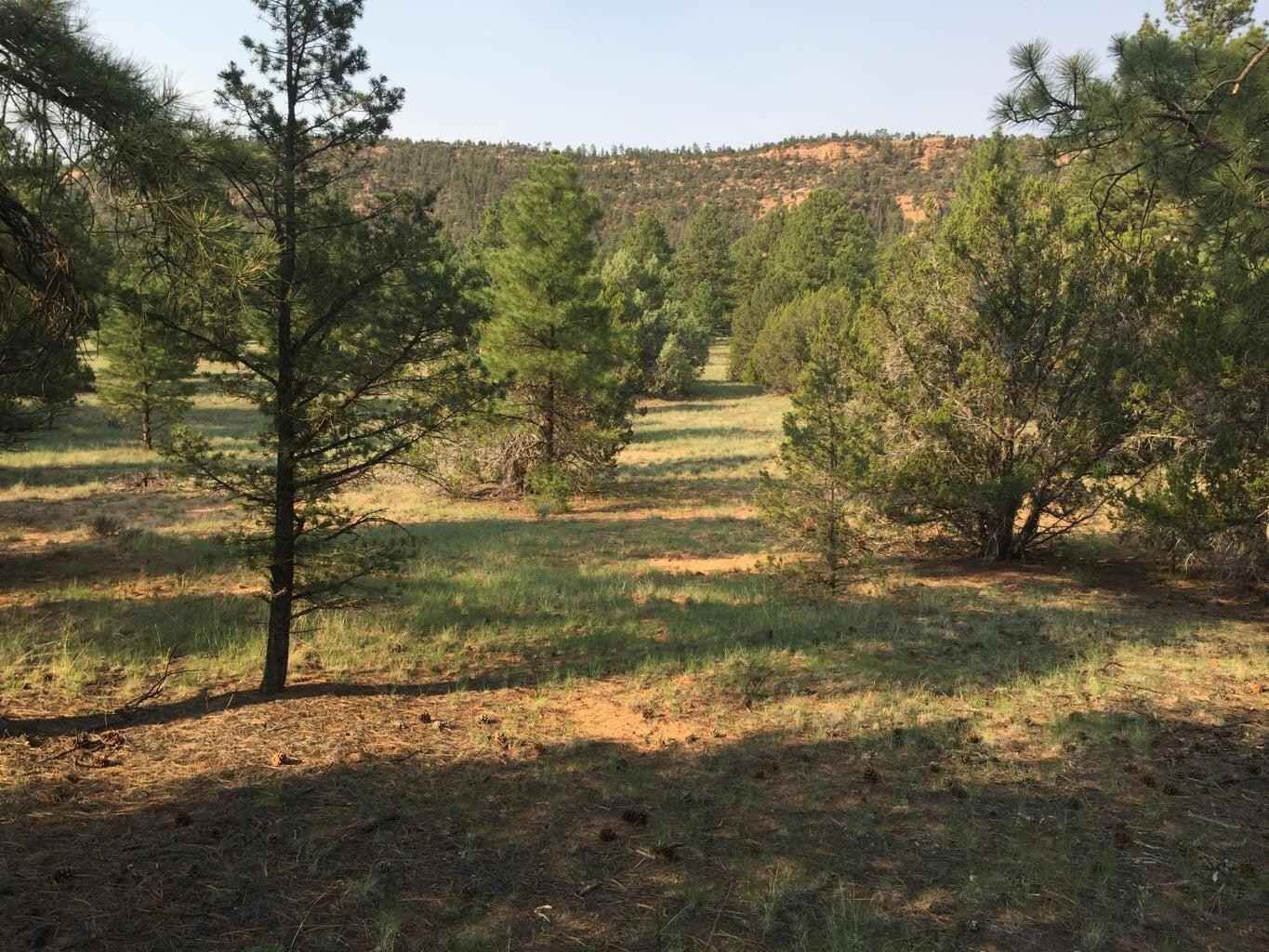 Lot 24 Timberlake Rd  