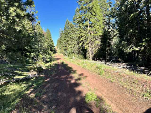 Lot 2 Douglas Rd  