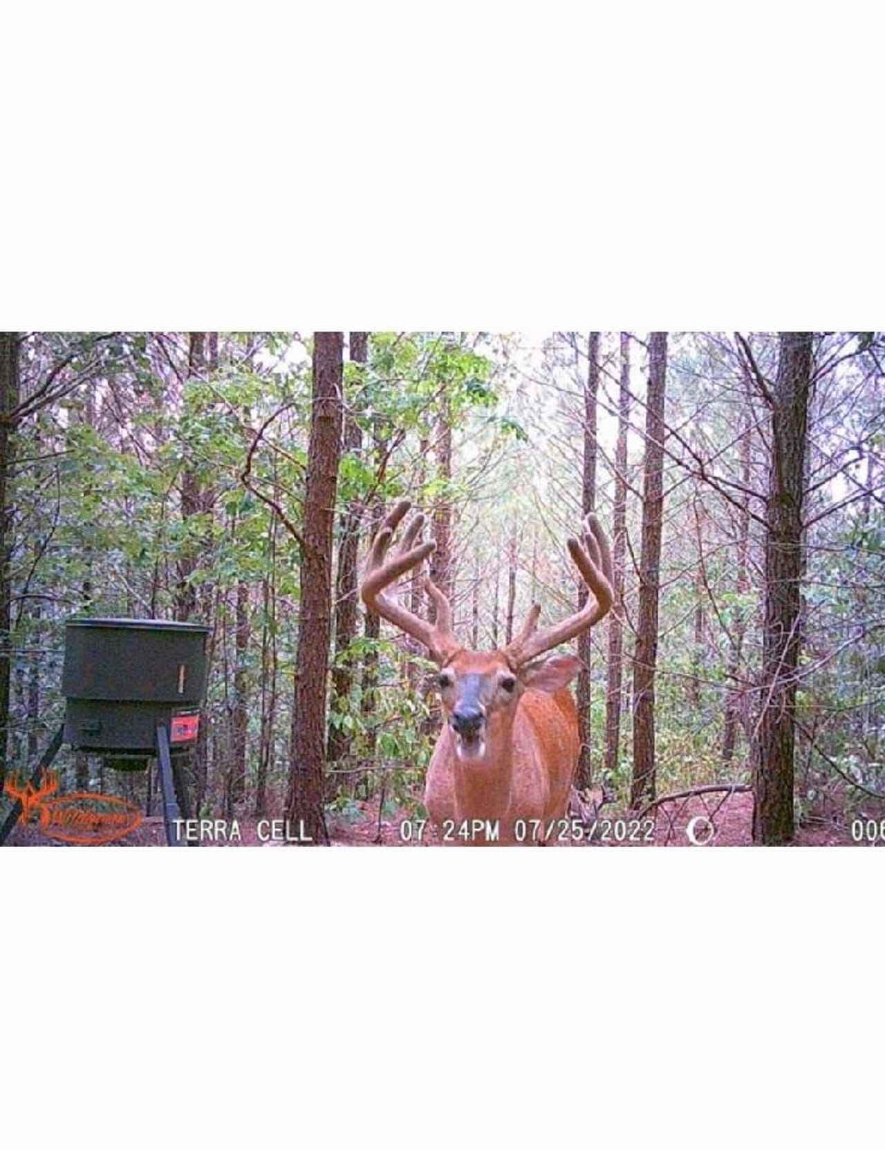 4073 Old Hohenwald Rd  