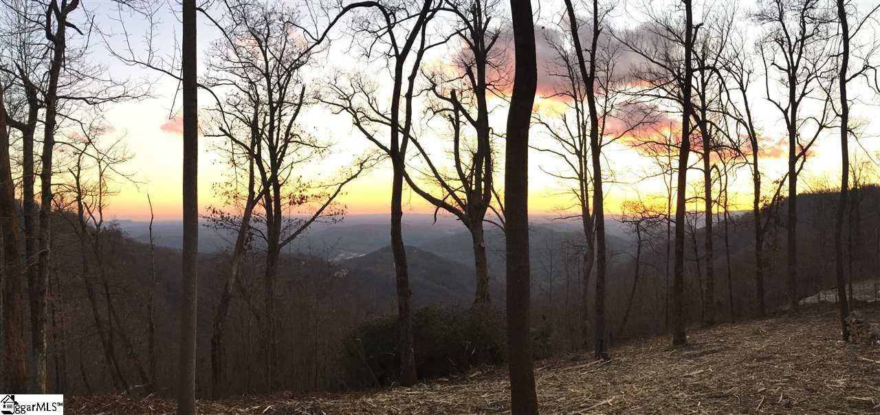 1399 Mountain Smt Rd  