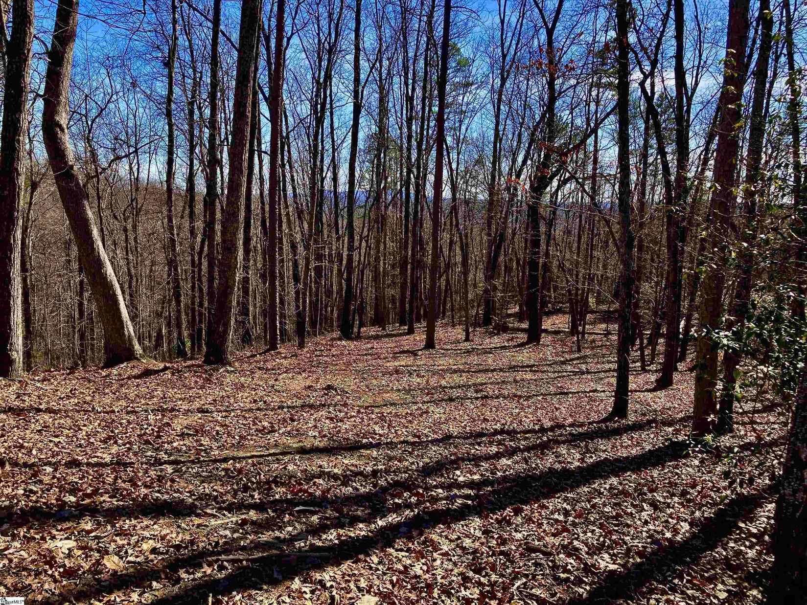 25 Cherokee Rose Trl  