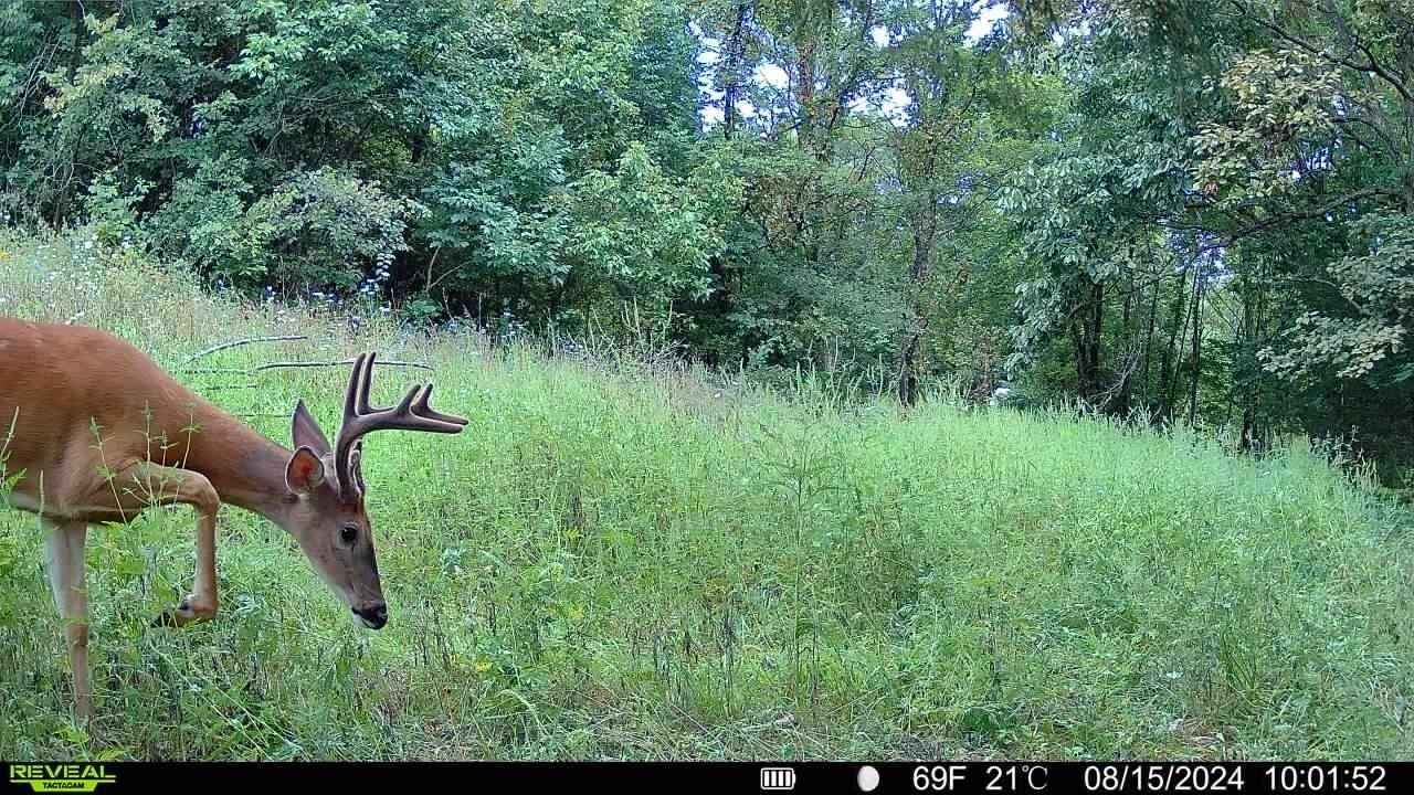 0 S County Road 700 E  