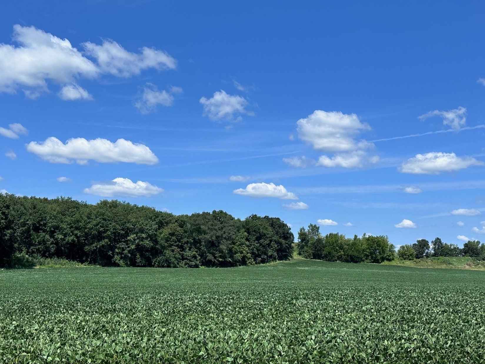 Lot 3 Csm 16272 Castleton Xing  