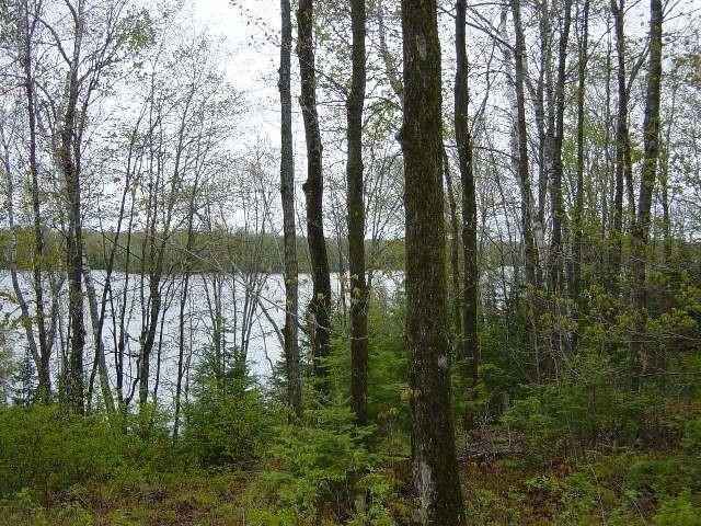 11598 N Farnsworth Rd  