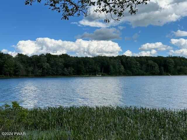 Lot R-c1 Spruce Lk Rd  