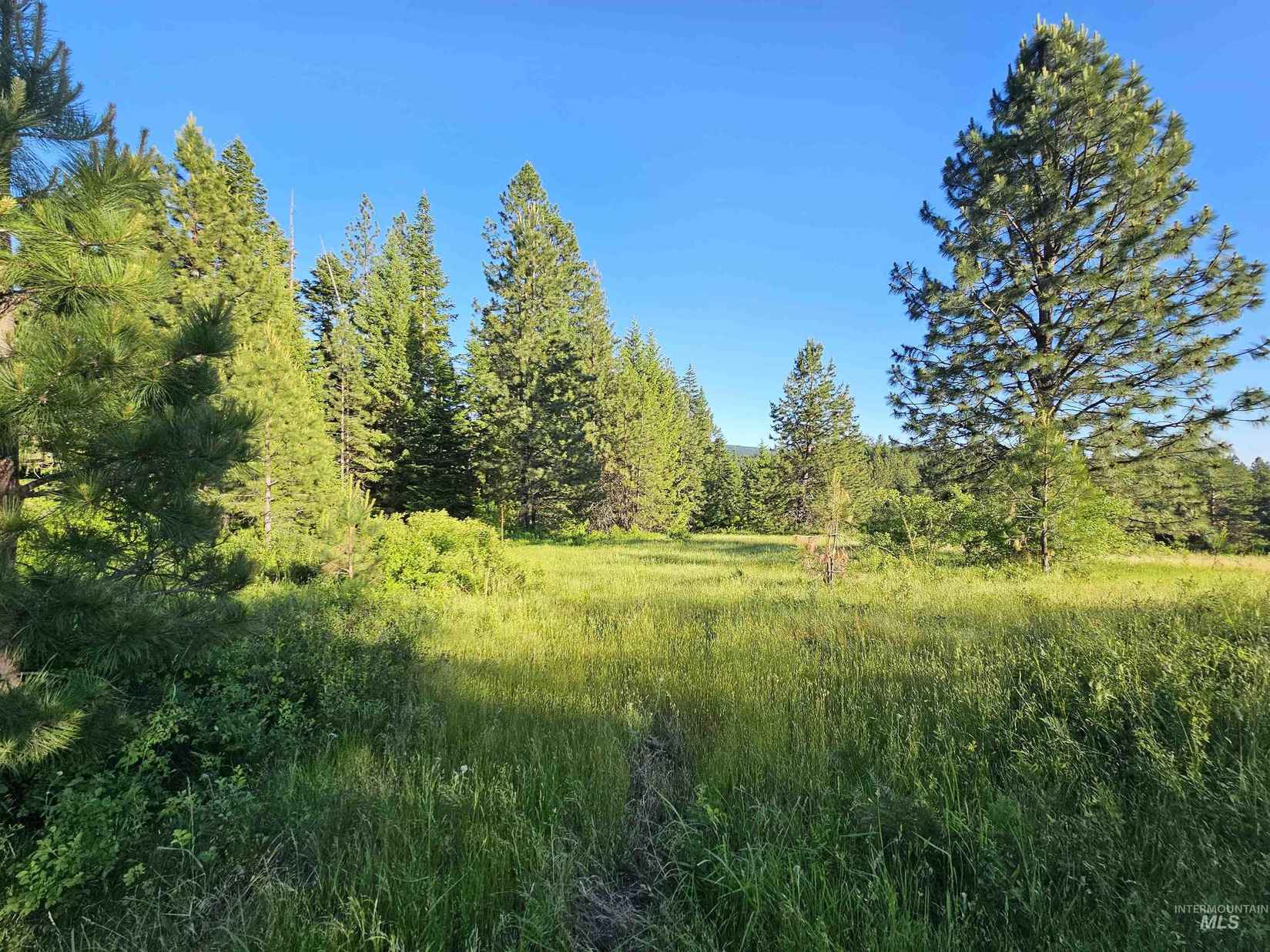 Tbd Red Willow Rd Lot 79 Cedar Crk Subdivision  