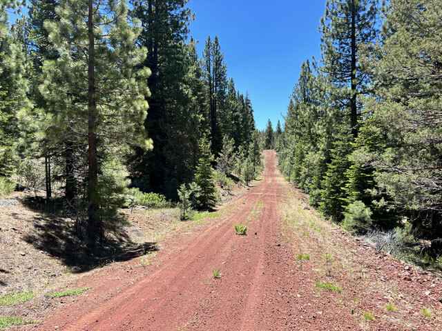 Lot 10 Morgan Rd  