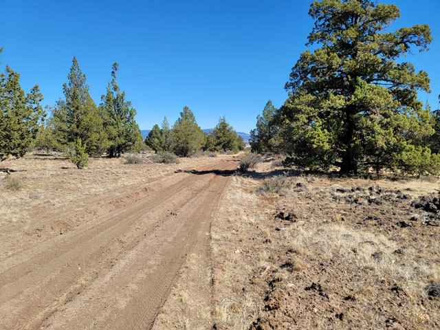 Lot 5 Mule Deer Ln  
