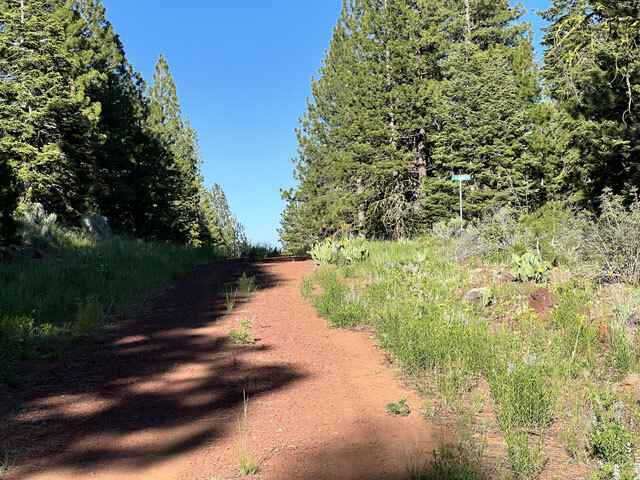 Lot 56 Bannack Rd  