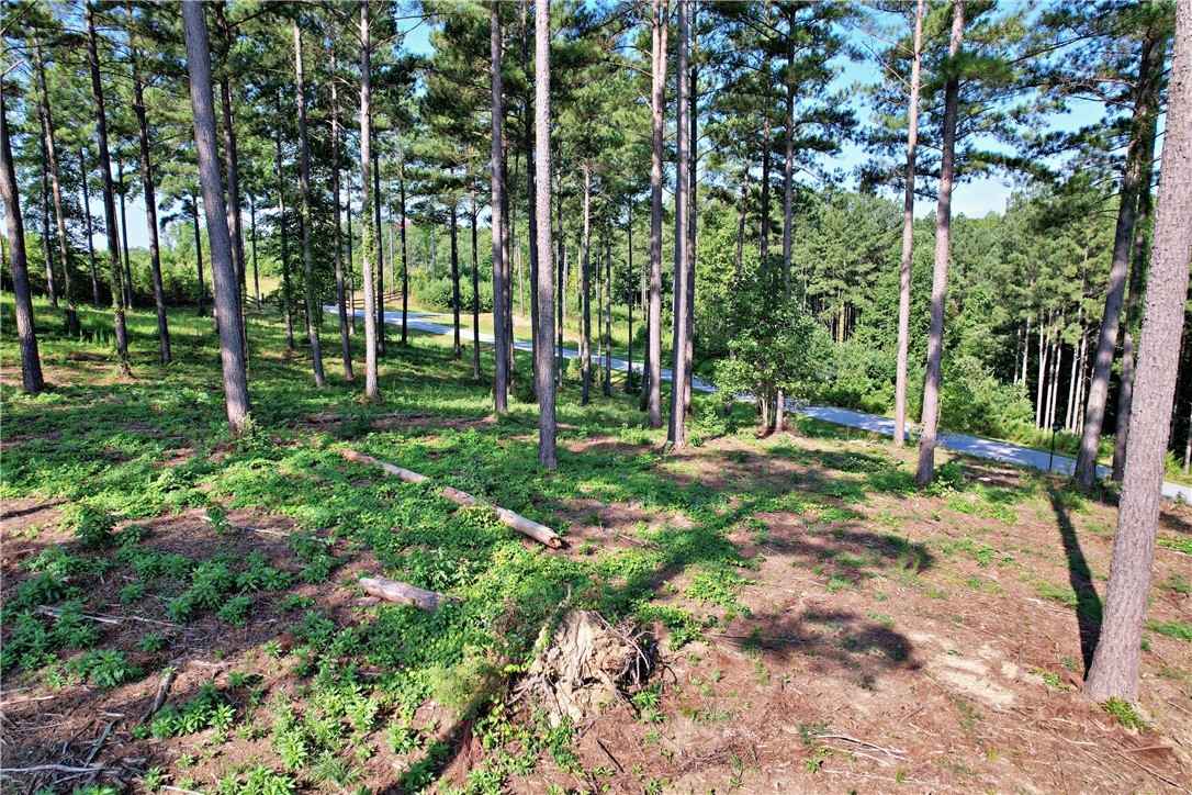 Lot 2 Little Keowee Blvd  