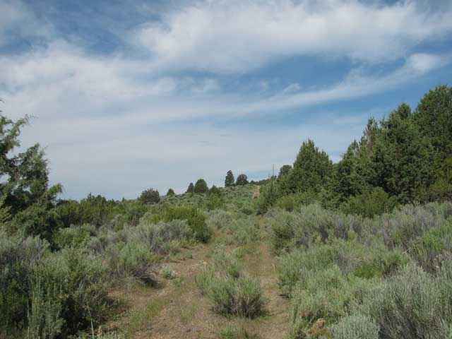 Lot 09 Umatilla St  