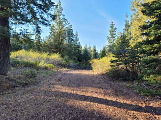 lot 77 Walrus Ln  