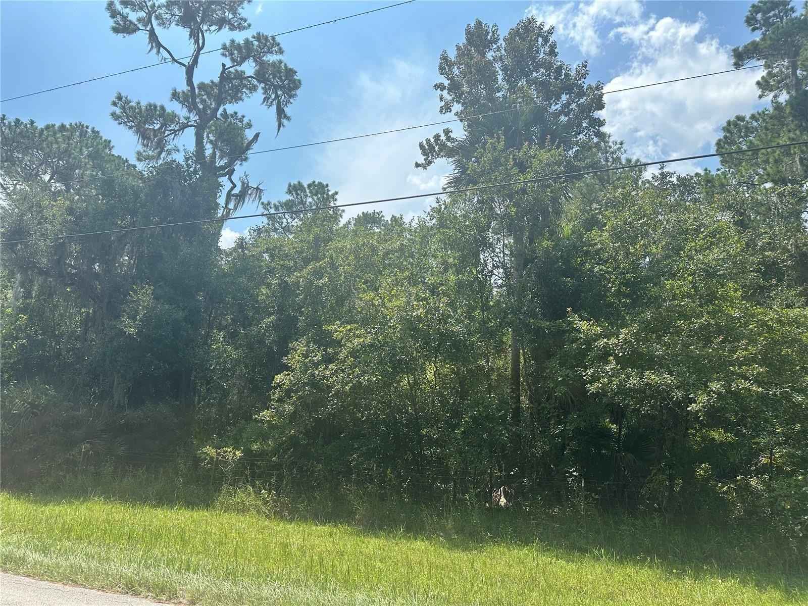 2885 N SHELL Rd  