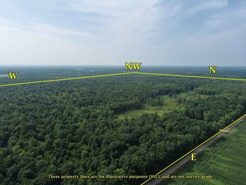 250 Acres On REEDS Cor Rd  