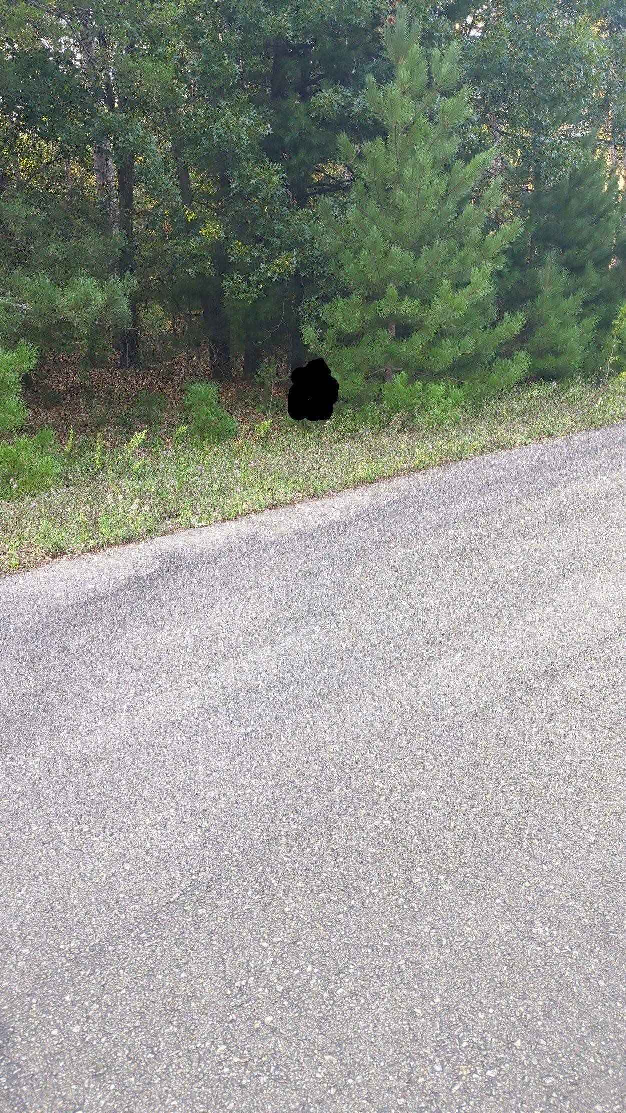 N2719 ONA Pnes Rd  