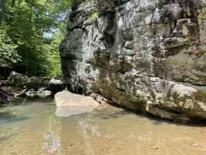 Tract 18 Terrapin RD  