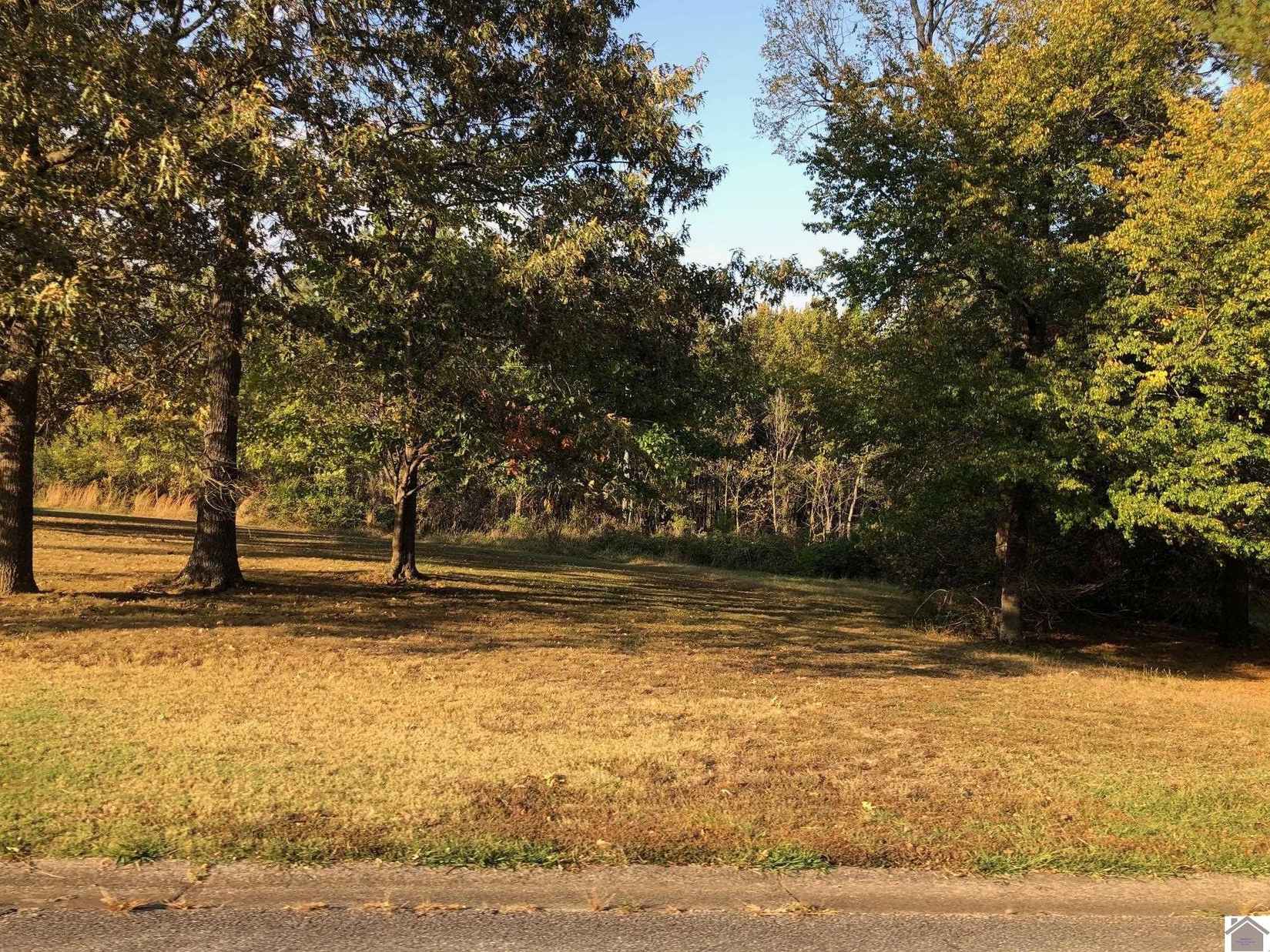 Lots 48 49 Masters Dr  