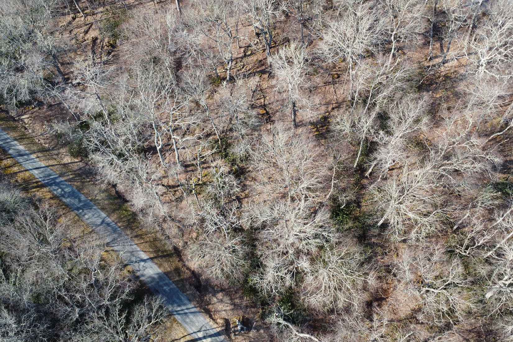 Lot 149 Derby Ln  