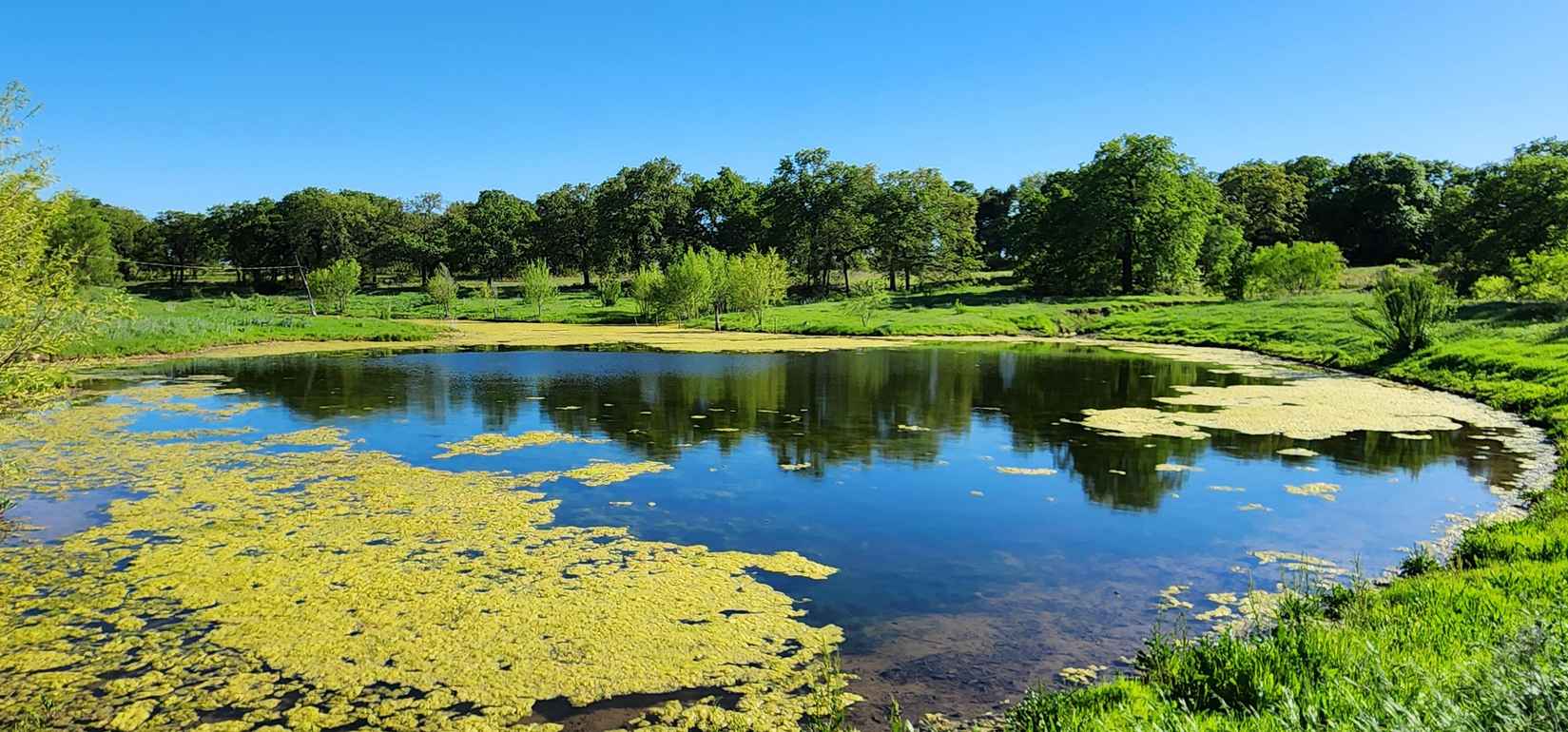 T10 TBD County Rd 493  