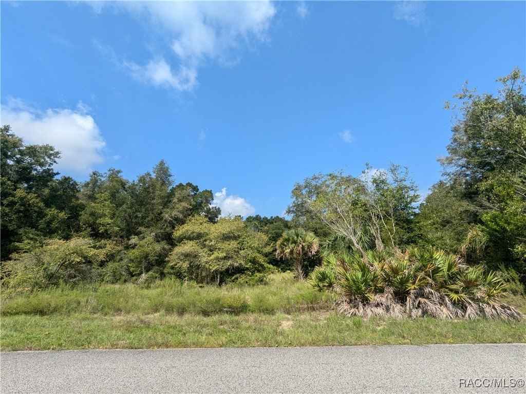 8360 N Bella Ripa Ter  