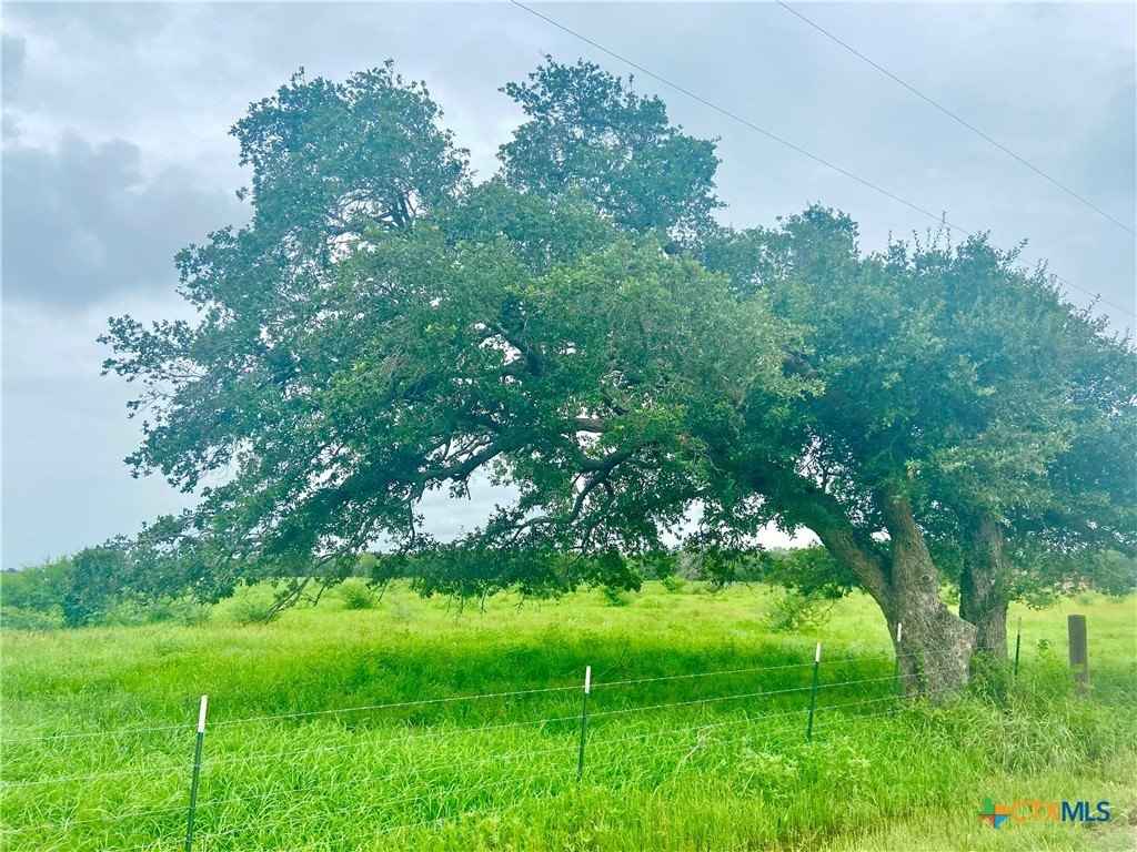 Lot 4 County Rd 273  