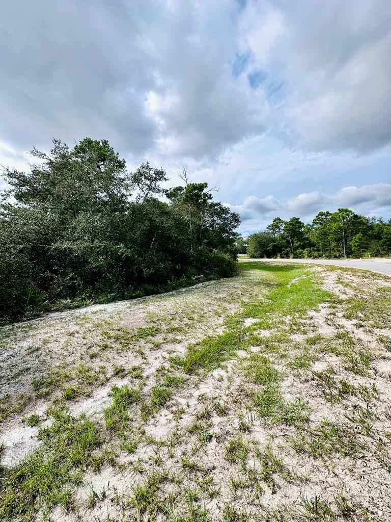 158 Singleleaf Rd  