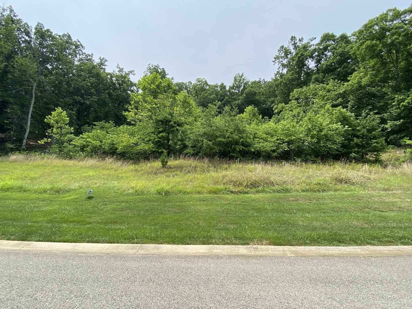 LOT 12 Smt DR  
