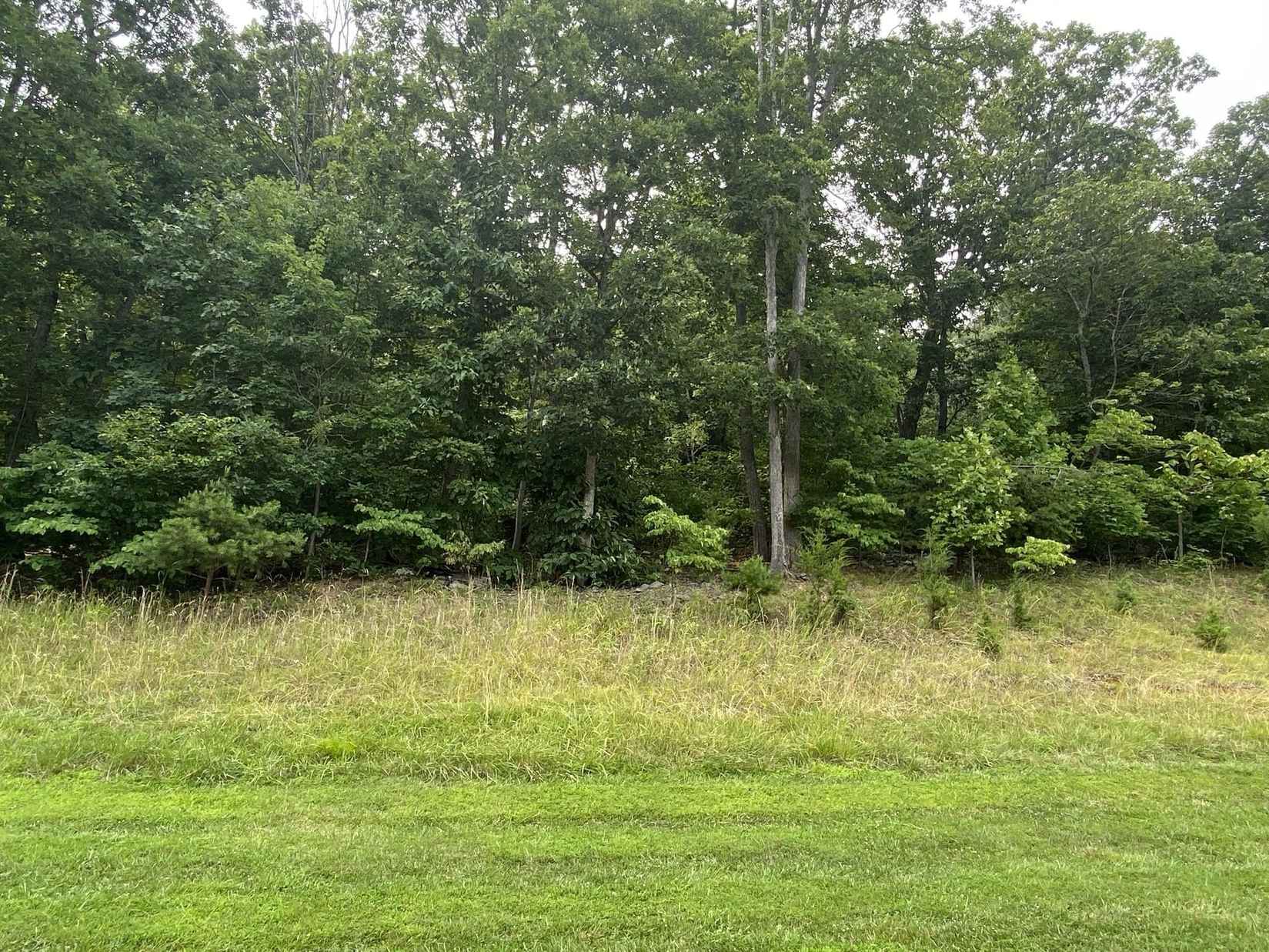 LOT 21 Smt DR  