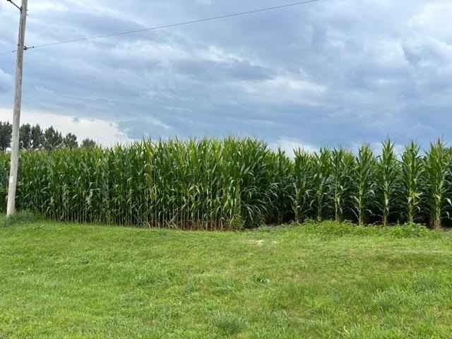 8/- Acres Five Cor Rd  