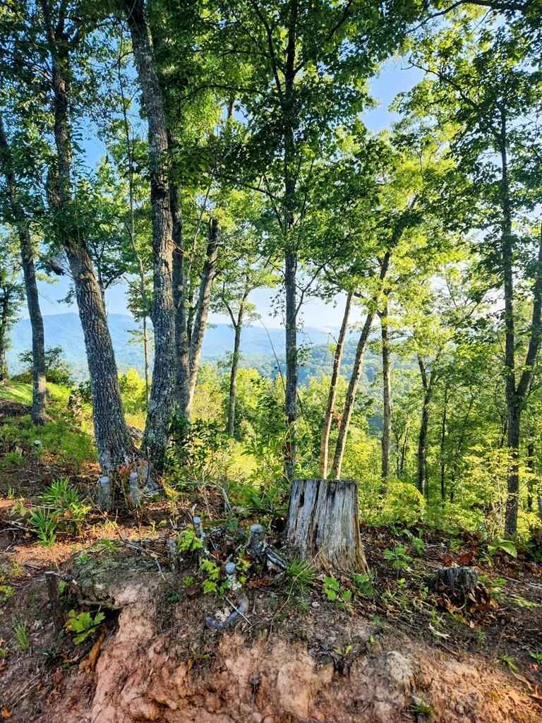 Lot 12 Owen Way  