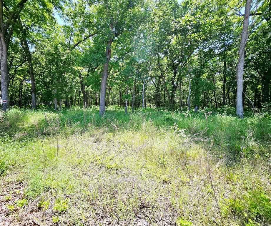 lot221 Banjo Ct  