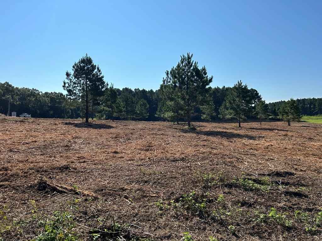 5-ac Cottonwood Rd (Hwy 53)/ Eddins Rd  