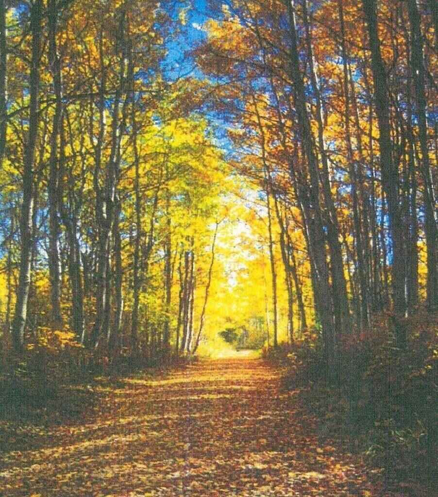 Lot 21 Misty Riv Trl  