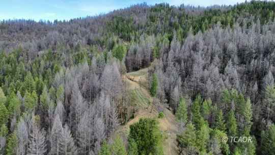 7600 7630 Hayfork Smt Rd  