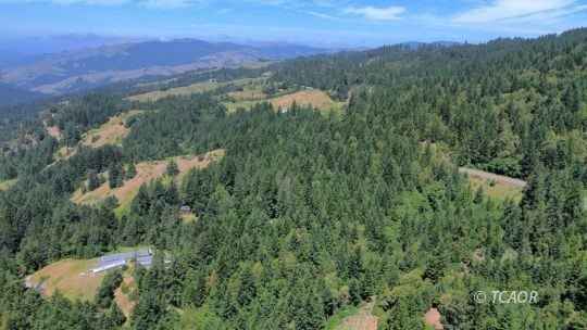 30568 Hwy 36  