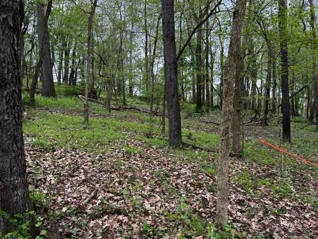 Lot 216 Thompsonville Rd  