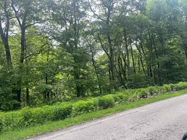 Lot Unit 87 Laurel Smt Rd  