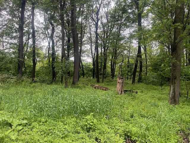 Lots 89 90 Laurel Smt  