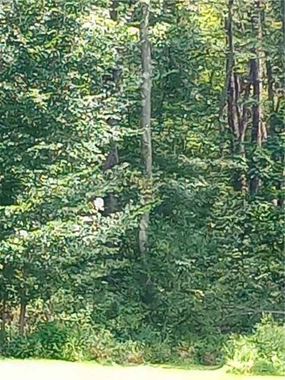 Lot Unit 11 Maple Dr  
