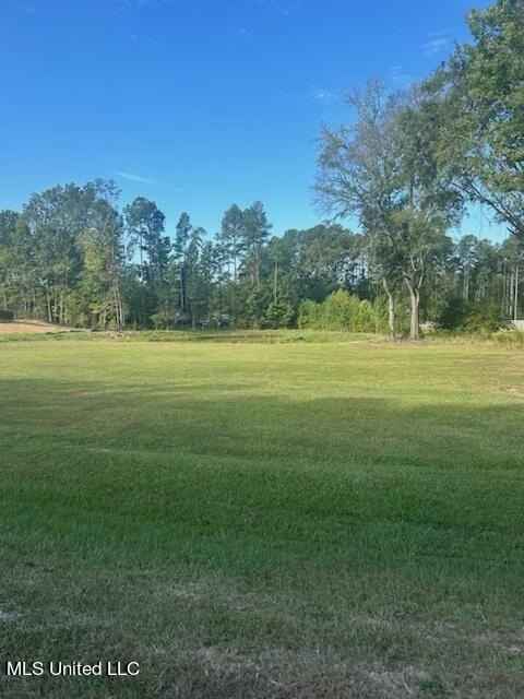 115 Hidden Glades  