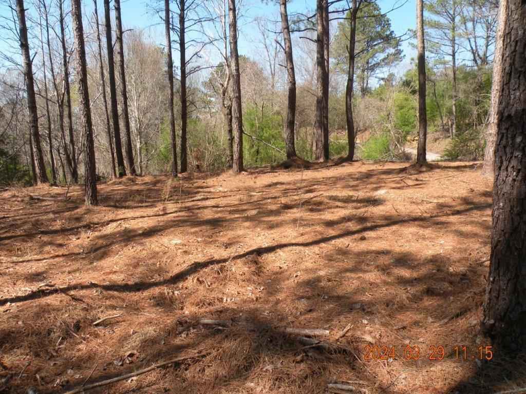 210 RIVERS EDGE Dr  