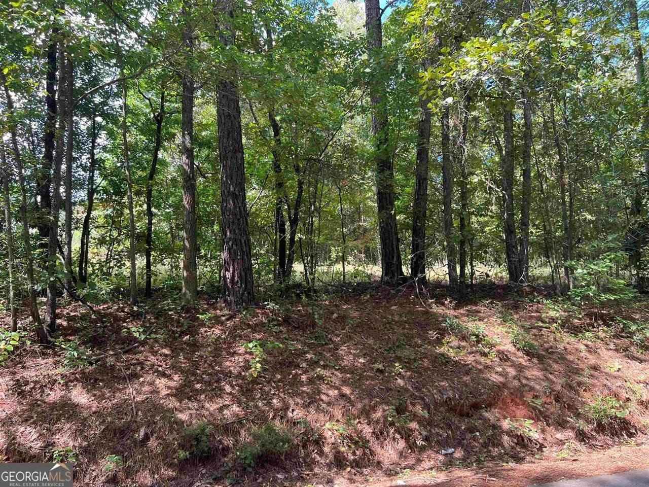 LOT 15 Weems Rd  