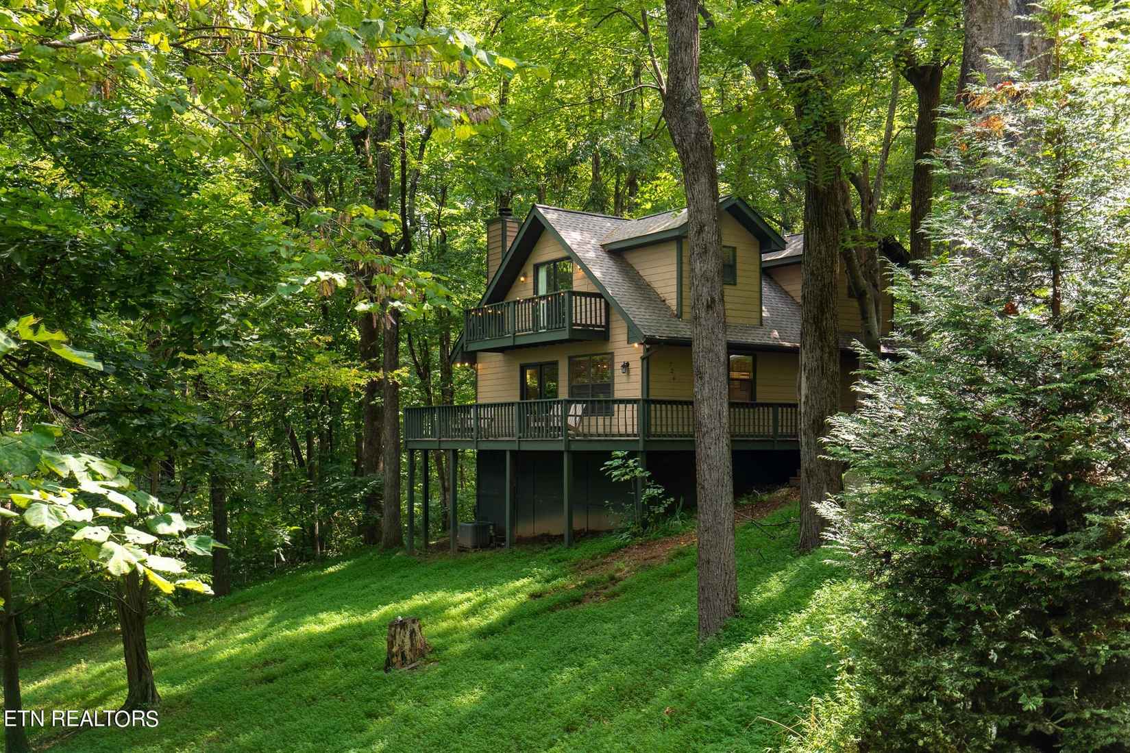 724 Alpine Dr  